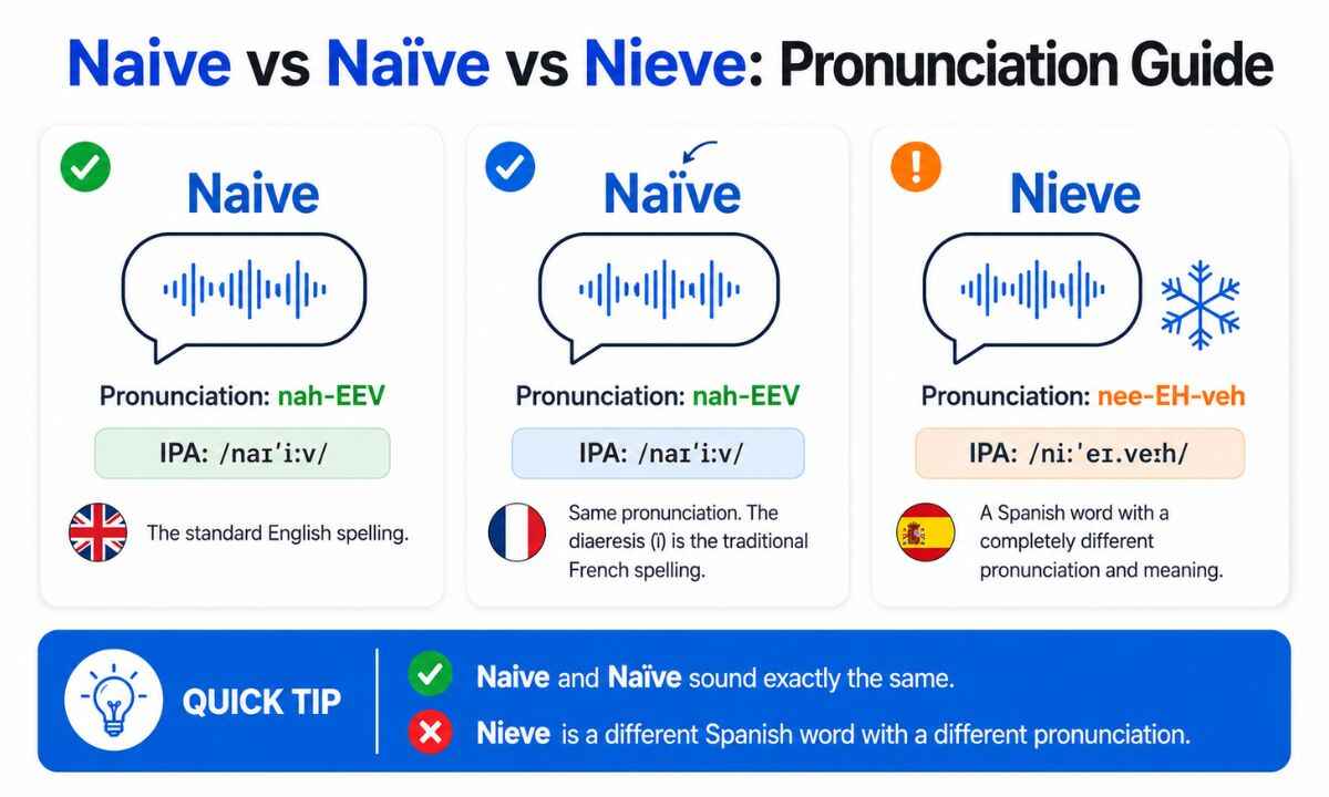 naive vs nieve table Guide