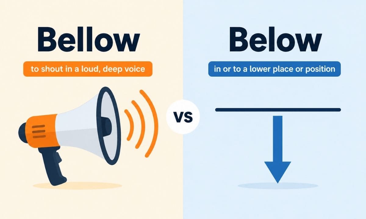 Bellow vs Below quick answer