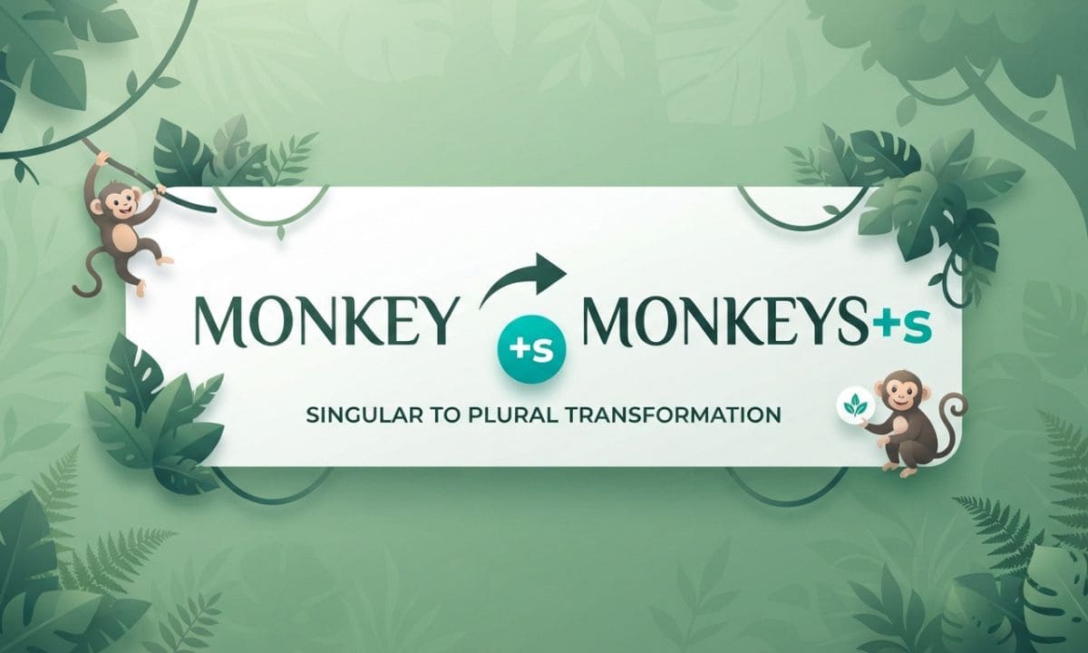Monkeys vs Monkies answer