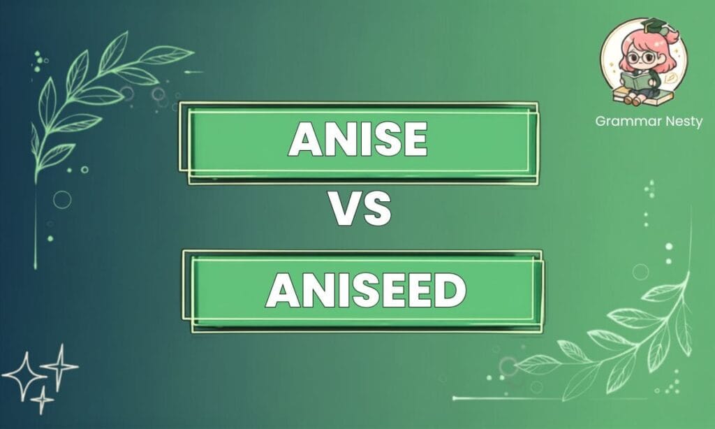 Anise vs Aniseed