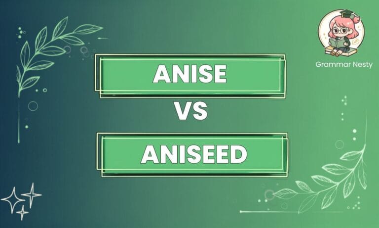 Anise vs Aniseed