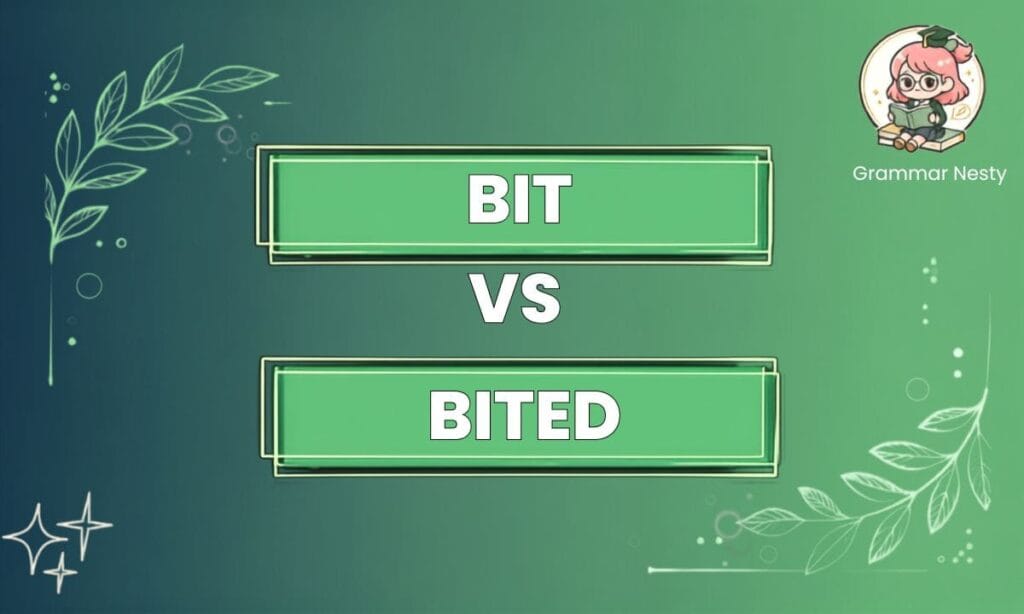 Bit or Bited