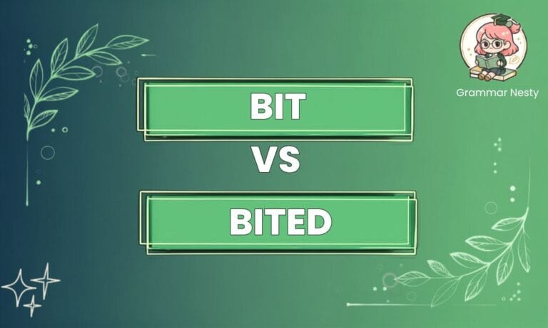 Bit or Bited